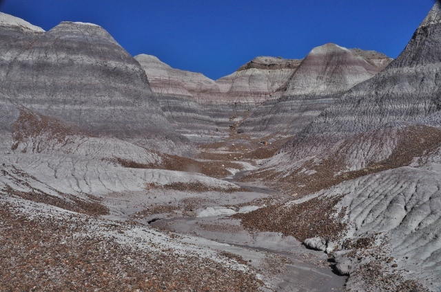 The Blue Mesa Trail